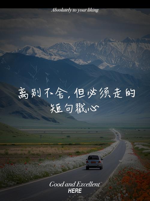 离别不舍又必须走的句子,句句心酸! 第1张 离别不舍又必须走的句子,句句心酸! 第1张