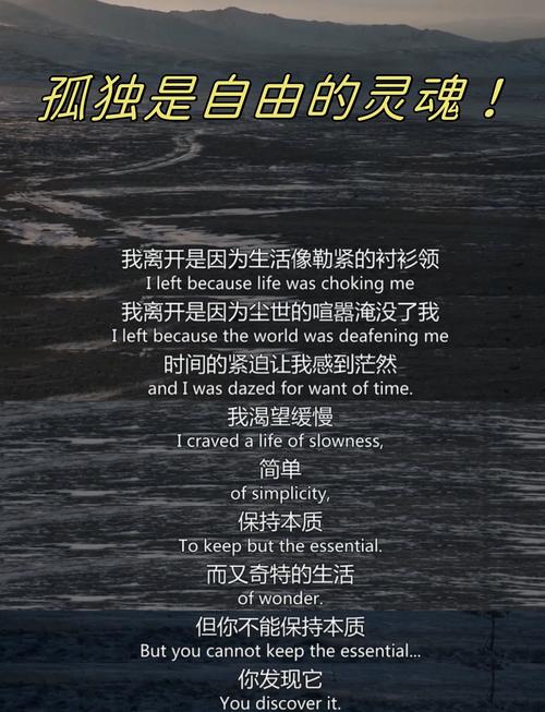 谁不是孤独的生,孤独的死? 第1张 谁不是孤独的生,孤独的死? 第1张