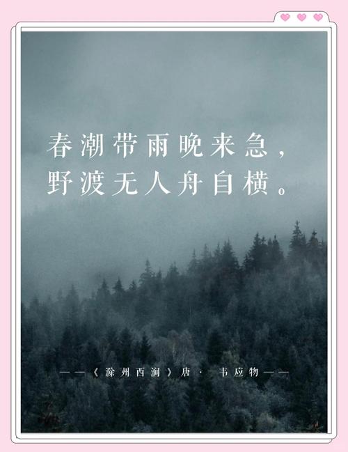 人生风雨路,江天心海潮 第1张 人生风雨路,江天心海潮 第1张