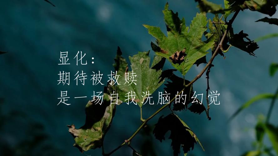 温暖,是心中的一场幻觉 第1张 温暖,是心中的一场幻觉 第1张