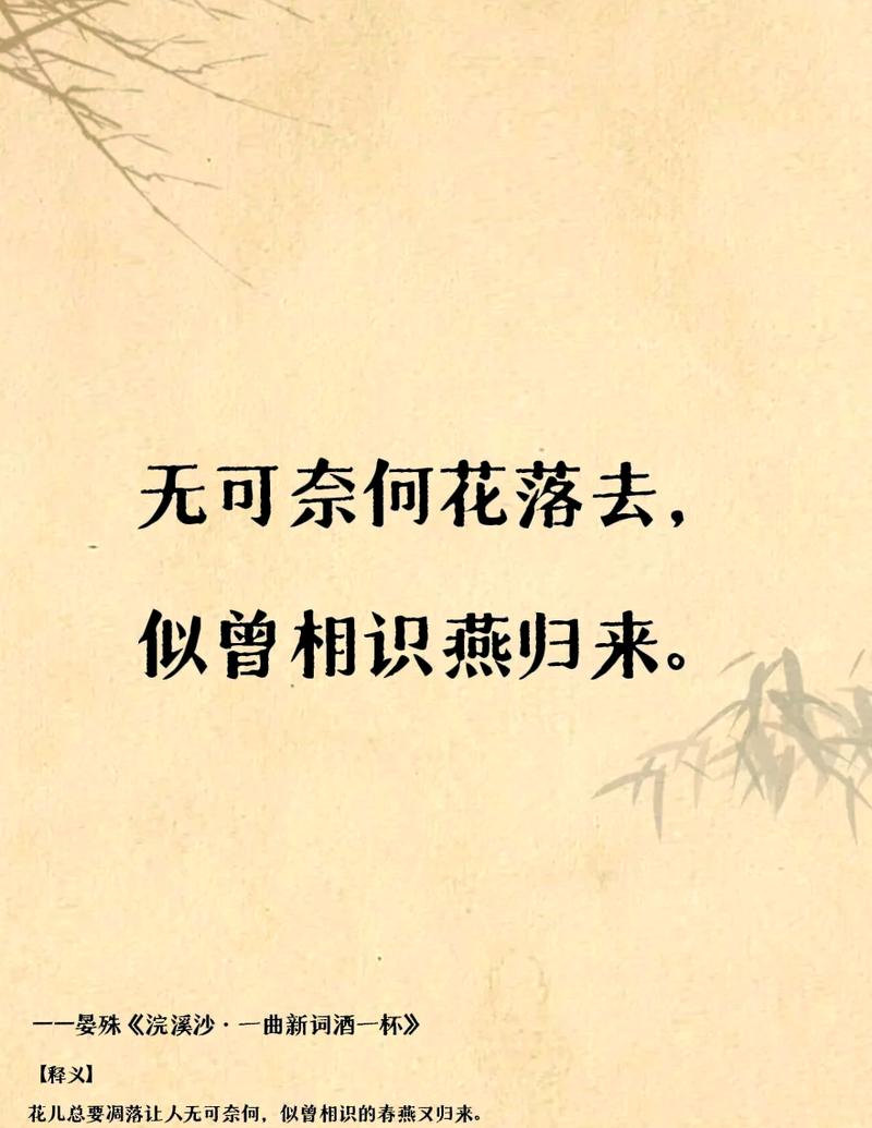 愿我们各自盛开在天涯  第1张