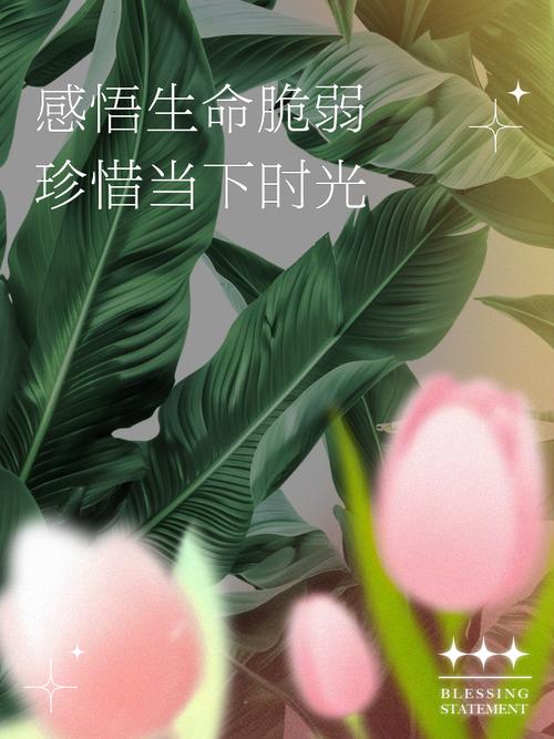 活在当下,珍惜生命,展望未来 第1张 活在当下,珍惜生命,展望未来 第1张