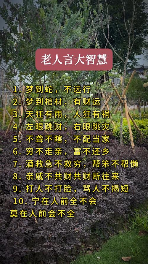 老人言, 流传千年的大智慧,让人受益一生! 第1张 老人言, 流传千年的大智慧,让人受益一生! 第1张