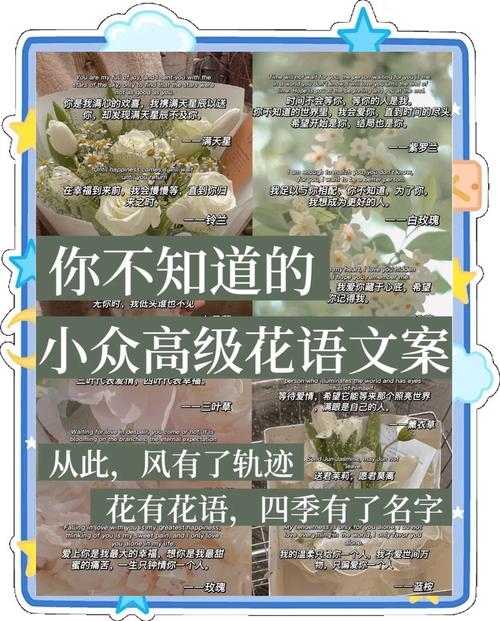 20句高级的小众文案短句 第1张 20句高级的小众文案短句 第1张