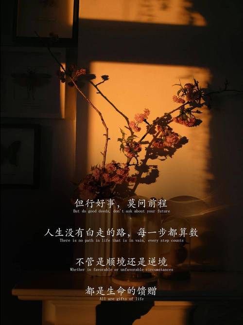 沈从文20句经典语录,治愈心灵,遇见更好的人生 第1张 沈从文20句经典语录,治愈心灵,遇见更好的人生 第1张