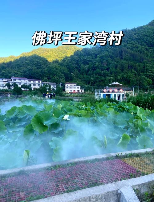 分田分到王家湾 （打一字）  第1张