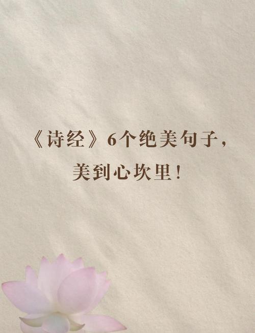 诗经字字皆动人，句句是人生！  第1张