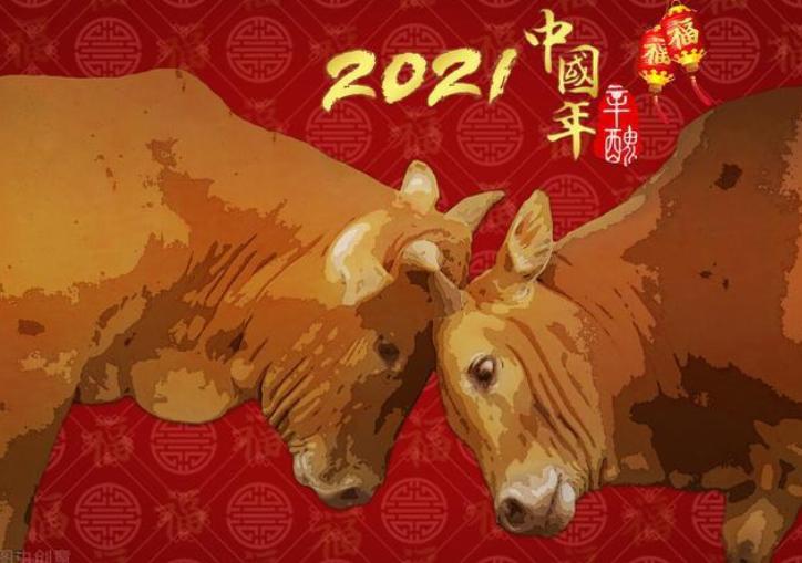 牛年要到了,俗话:“牛遇无春年,长工不停歇”,到底是什么意思 第1张 牛年要到了,俗话:“牛遇无春年,长工不停歇”,到底是什么意思 第1张