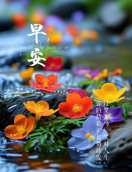 激励人心的优美早安心语,句句阳光正能量,送给迷茫消极的你 第1张 激励人心的优美早安心语,句句阳光正能量,送给迷茫消极的你 第1张
