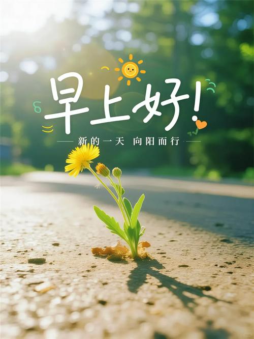 清晨热血沸腾的励志心语,活成小太阳,闪闪发光 第1张 清晨热血沸腾的励志心语,活成小太阳,闪闪发光 第1张