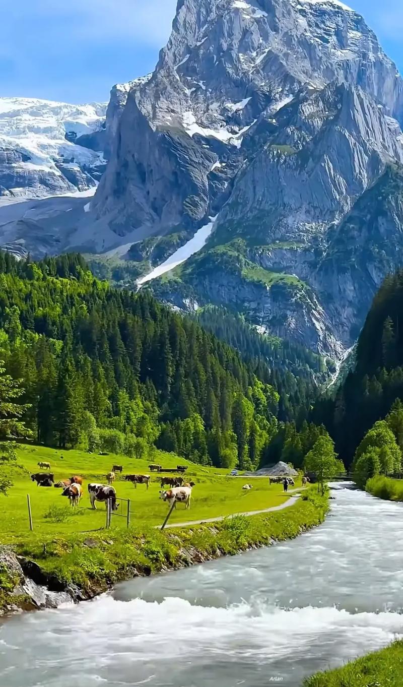 近处有风景,何须去远游 第1张 近处有风景,何须去远游 第1张