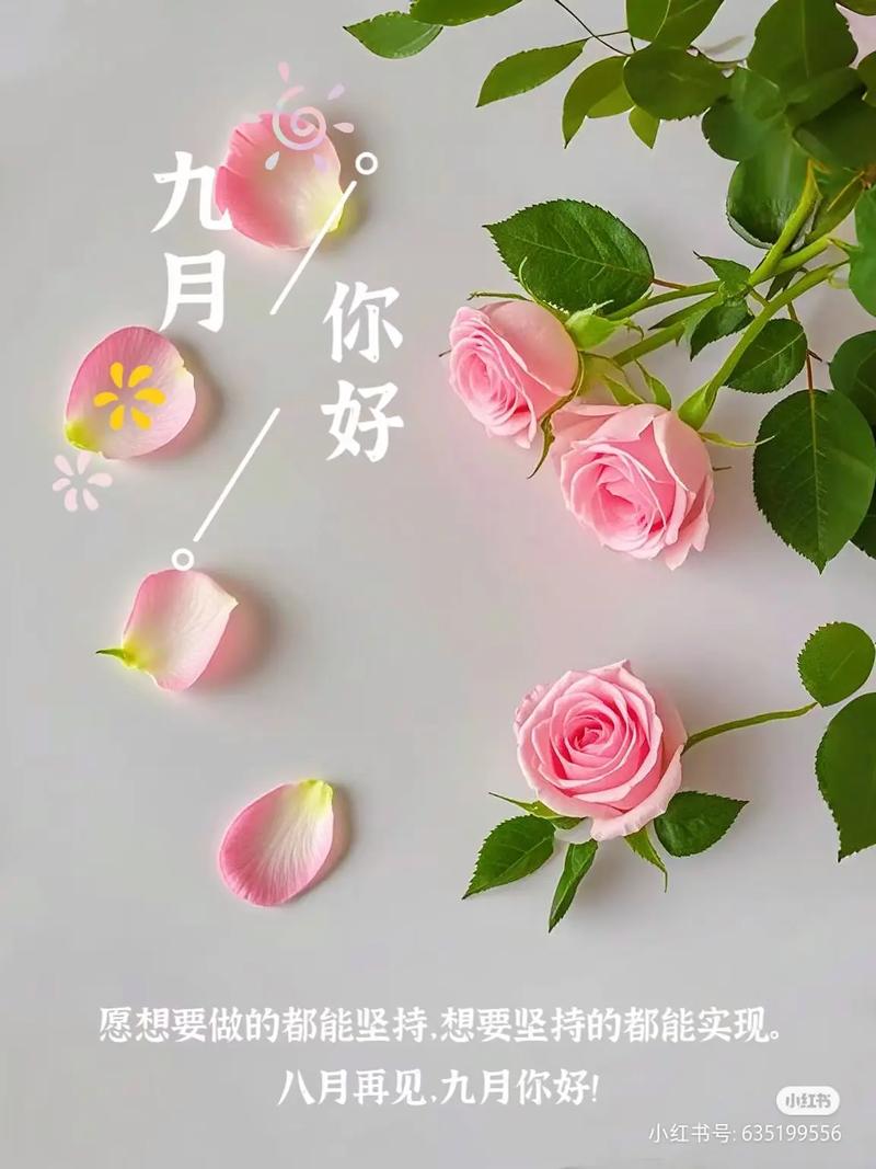 九月,你好!与你共赏人间最美清秋 第1张 九月,你好!与你共赏人间最美清秋 第1张