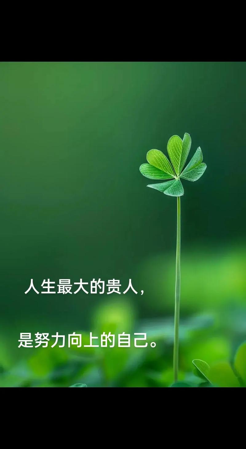 励志语录 最好的贵人,就是努力的自己 第1张 励志语录 最好的贵人,就是努力的自己 第1张