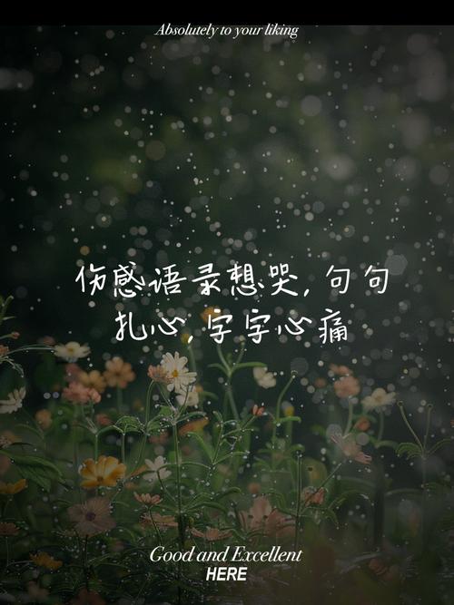 扎心语录,句句入魂2 第1张 扎心语录,句句入魂2 第1张