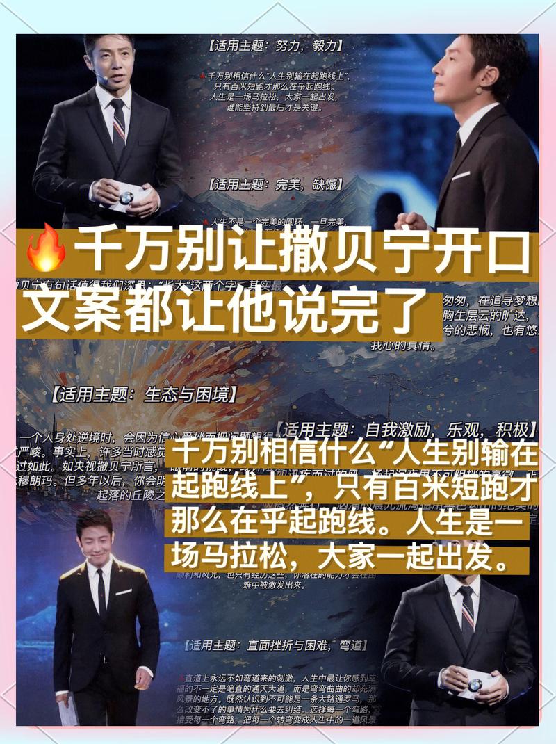 撒贝宁经典语录  第1张