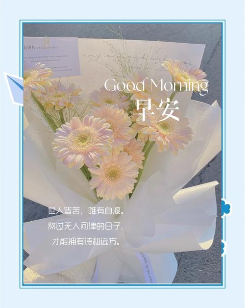 生活，无需复杂，只要简单；人生，无需繁华，只需平淡，早安  第1张