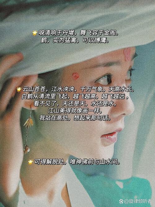 鹤唳华亭：忘不掉的唯美台词~绝美古风  第1张