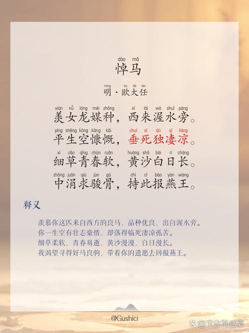 有关于“马”的诗词集锦 第1张 有关于“马”的诗词集锦 第1张