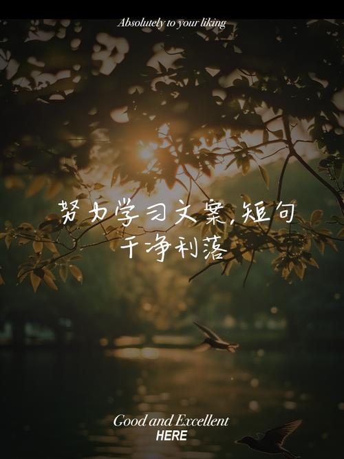 2023年精选努力学习的句子集合67条 第1张 2023年精选努力学习的句子集合67条 第1张