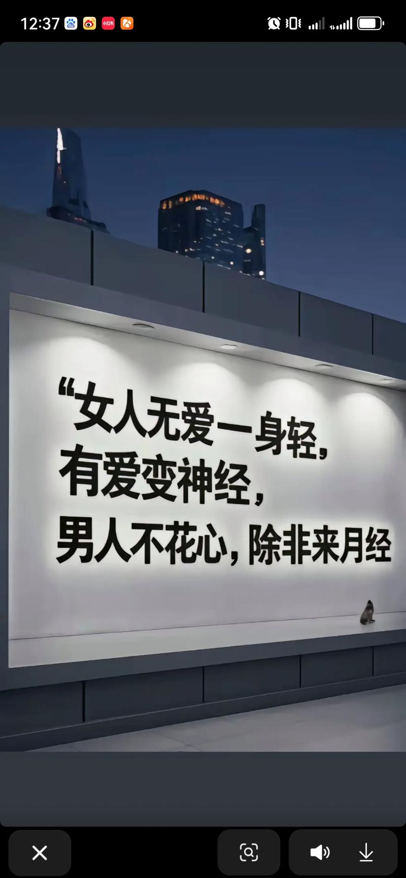 爱人先爱己,少说对不起 第1张 爱人先爱己,少说对不起 第1张