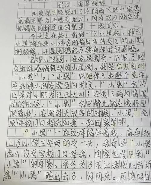 说说你学生时代最遗憾的一件事 第1张 说说你学生时代最遗憾的一件事 第1张
