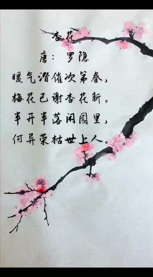 春暖人间,杏花香袭,胭脂万点美人腮,花开千朵似云霞 第1张 春暖人间,杏花香袭,胭脂万点美人腮,花开千朵似云霞 第1张
