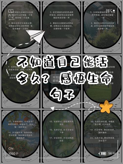 热爱生命的名言，读懂人生真谛（深度探寻热爱生命的名言）  第1张