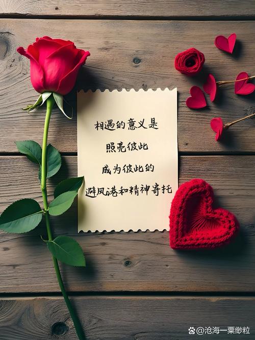 在岁月的长河中珍惜每一份真挚的爱情,用心去感受生活中的美好 第1张 在岁月的长河中珍惜每一份真挚的爱情,用心去感受生活中的美好 第1张