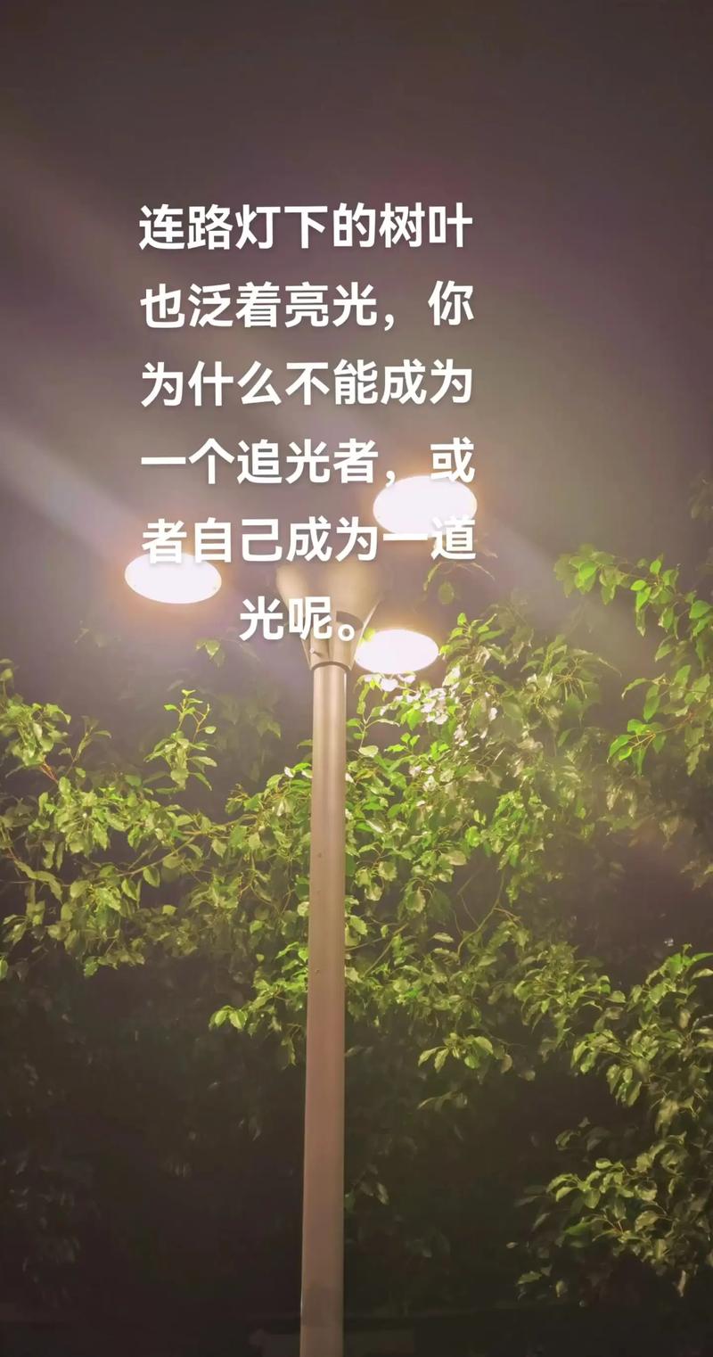 越是身处黑暗,越要选择走向光明 第1张 越是身处黑暗,越要选择走向光明 第1张