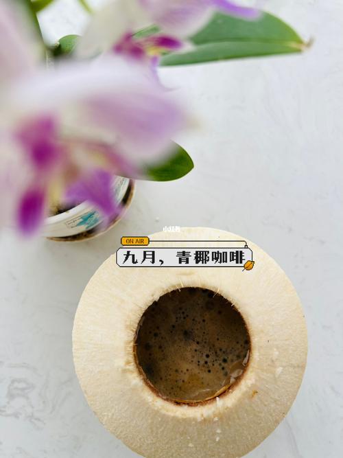 孙子咖啡我来调 （打三字古人名）  第1张
