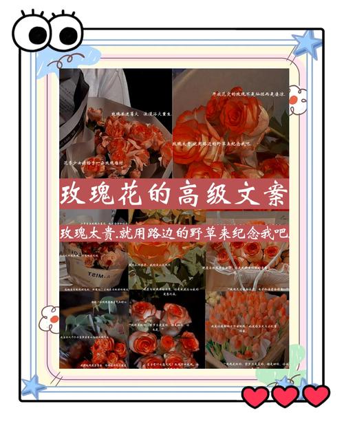 关于养花的唯美朋友圈文案,有感而发,说到心坎! 第1张 关于养花的唯美朋友圈文案,有感而发,说到心坎! 第1张
