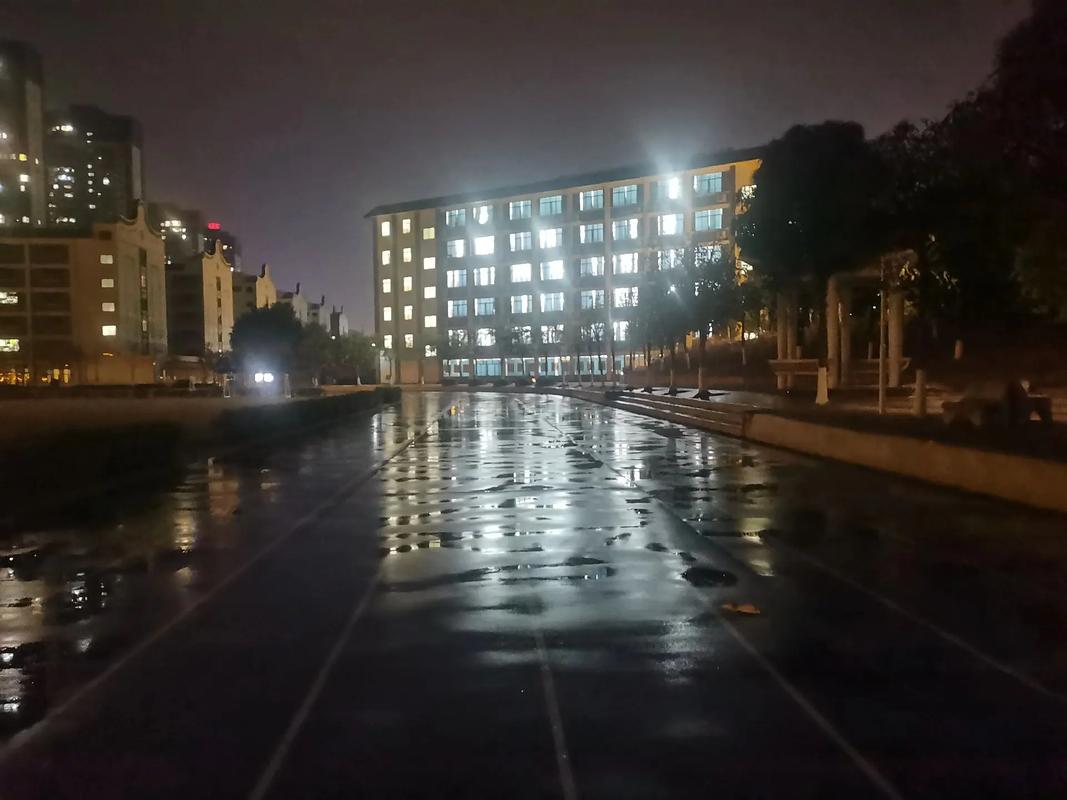 在一个宁静的夜晚，夜色如墨，笼罩着整个校园。在这静...  第1张