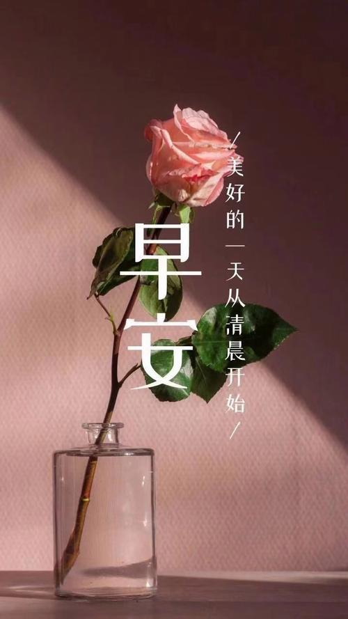 女人励志早安语录简短 励志女人说说 第1张 女人励志早安语录简短 励志女人说说 第1张