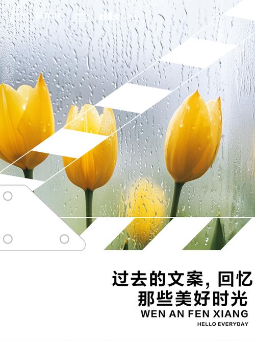 时光不语,岁月静好,怀念相遇相聚的美好时光 第1张 时光不语,岁月静好,怀念相遇相聚的美好时光 第1张