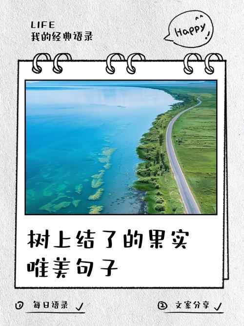 果子语录:一百四十一 第1张 果子语录:一百四十一 第1张