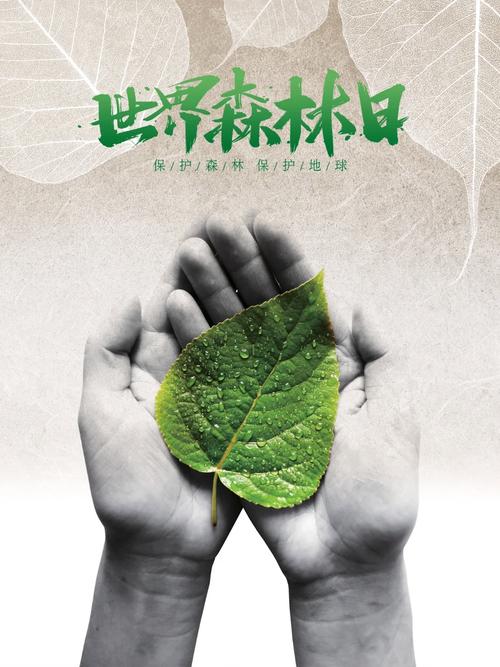 世界森林日 | 每一片新绿都值得被赞颂 第1张 世界森林日 | 每一片新绿都值得被赞颂 第1张