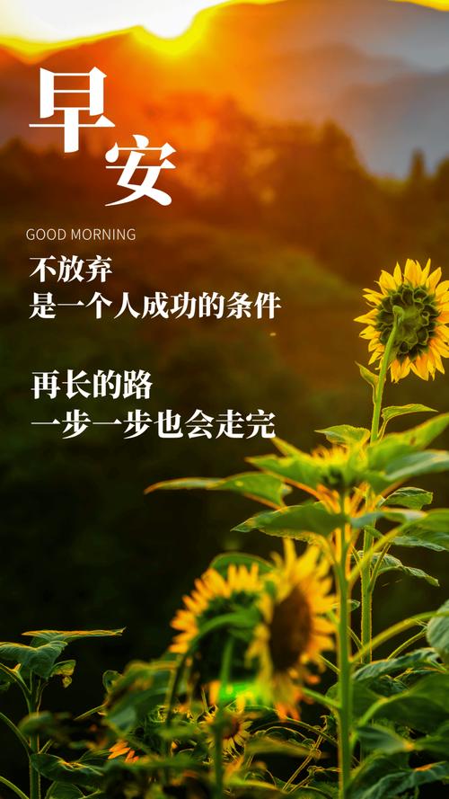 早安的正能量励志最新句子 第1张 早安的正能量励志最新句子 第1张