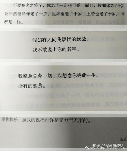 「美词佳句」盘点那些'不言情而情自深,不言伤却悲从中来'的歌词 第1张 「美词佳句」盘点那些'不言情而情自深,不言伤却悲从中来'的歌词 第1张