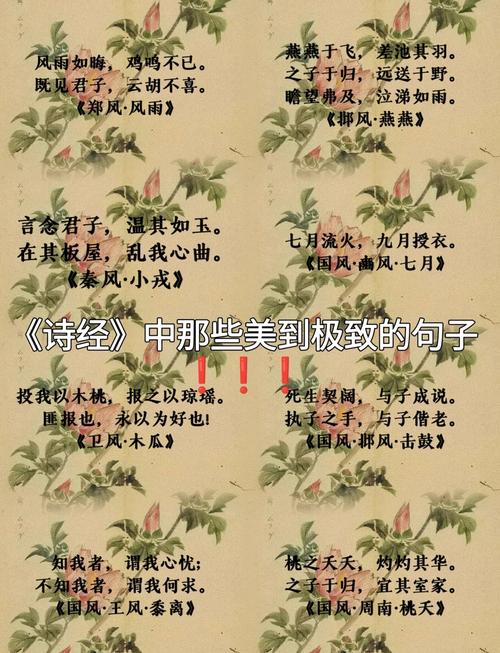 《诗经》最美30句,美到骨子里 第1张 《诗经》最美30句,美到骨子里 第1张
