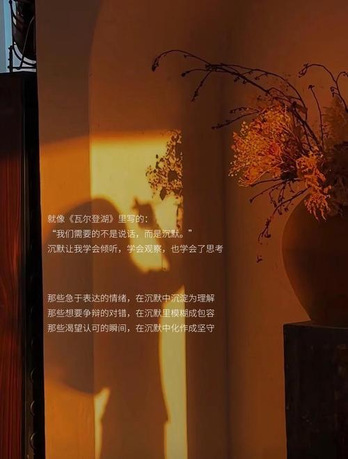 沉默是金,有的时候保持沉默比争辩更管用 第1张 沉默是金,有的时候保持沉默比争辩更管用 第1张