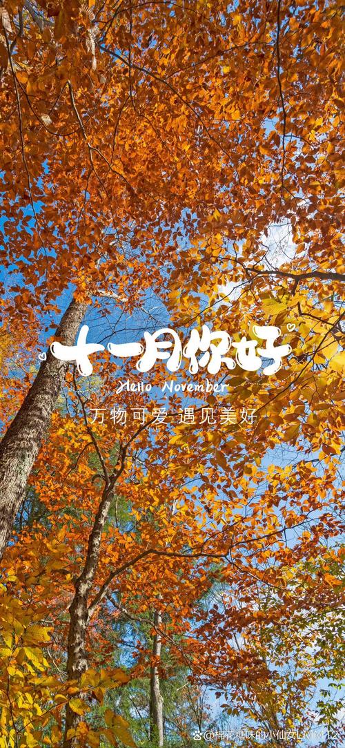 文案 | 温柔且美好的十一月文案 第1张 文案 | 温柔且美好的十一月文案 第1张