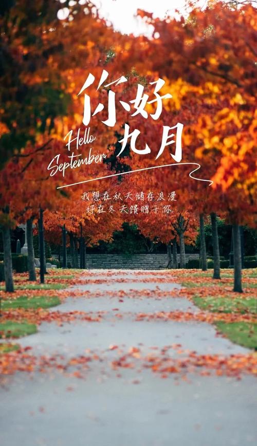 写在八月末 第1张 写在八月末 第1张