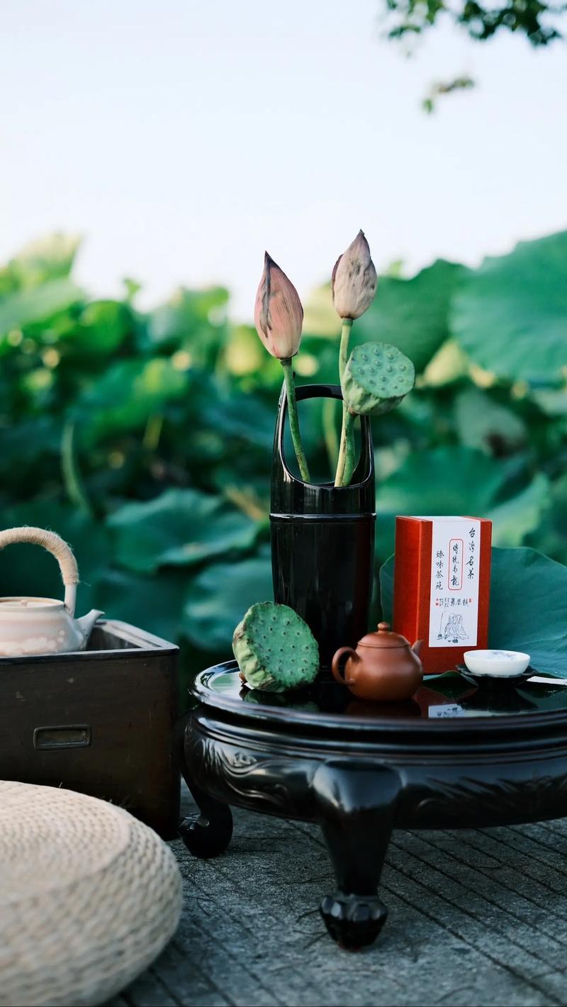 悠闲夏日,驻足赏花品茶! 第1张 悠闲夏日,驻足赏花品茶! 第1张