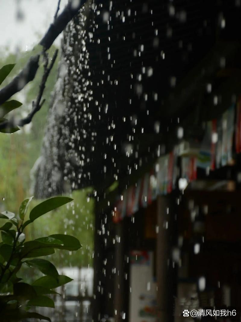 春雨煎茶,听雨看花 第1张 春雨煎茶,听雨看花 第1张