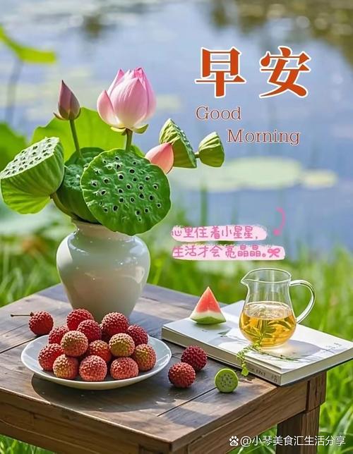 「早安心语」阳光温热,岁月静好,面朝大海,心似莲花朵朵开 第1张 「早安心语」阳光温热,岁月静好,面朝大海,心似莲花朵朵开 第1张