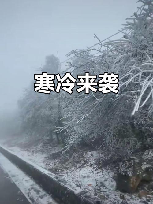 内蒙古天气:低温8℃冻得直哆嗦,“颤抖式”降温开始了! 第1张 内蒙古天气:低温8℃冻得直哆嗦,“颤抖式”降温开始了! 第1张