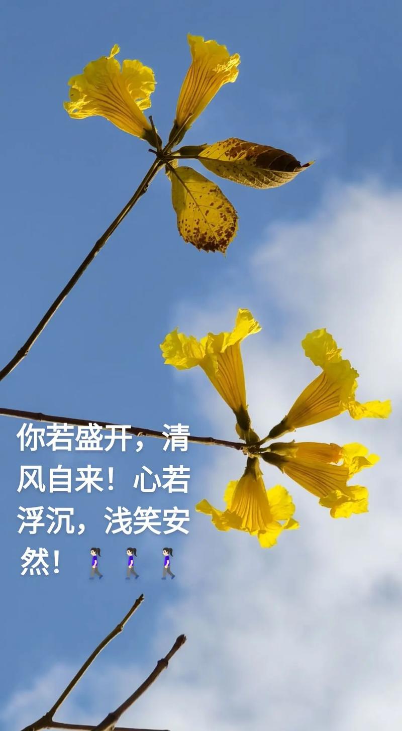 早读六首唯美诗词,心若向阳花自开,人若向暖清风来 第1张 早读六首唯美诗词,心若向阳花自开,人若向暖清风来 第1张