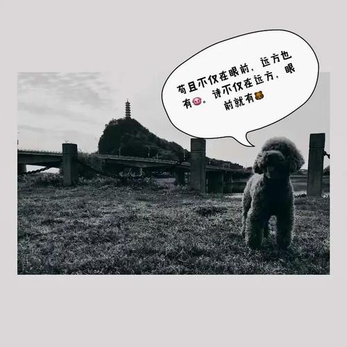 只愿,十月与七月不只是传说。 第1张 只愿,十月与七月不只是传说。 第1张