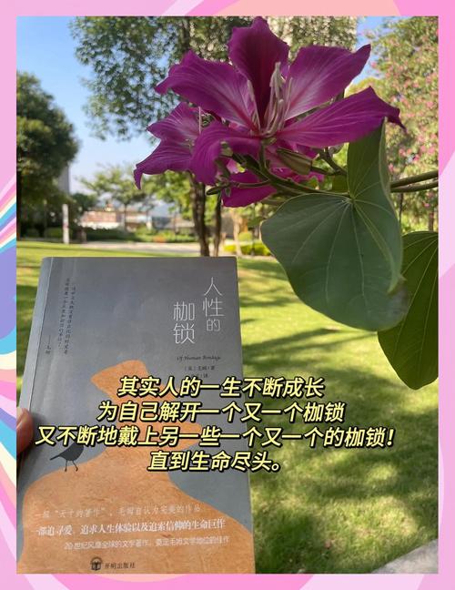 毛姆笔下经典的10个句子，揭露人性的枷锁  第1张
