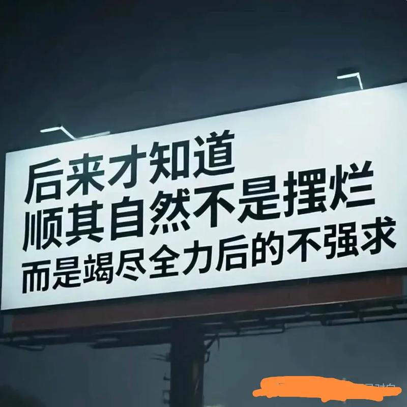 没有想过会怎么样，一天天浑浑噩噩的过去了  第1张